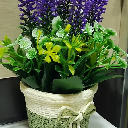 Secretos De Vut-te-24-0075 *