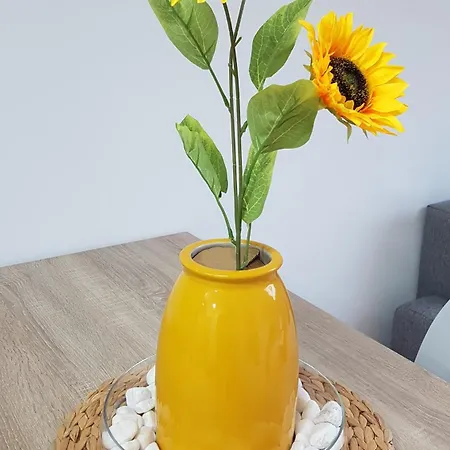 Secretos De Vut-te-24-0075 شقة