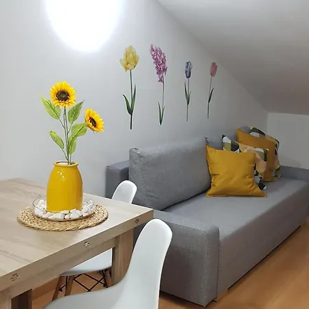 Secretos De Vut-te-24-0075 *