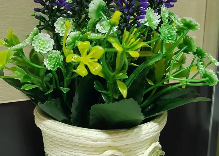 Secretos De Vut-te-24-0075 *