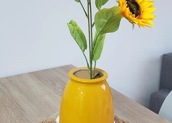 Secretos De Vut-te-24-0075 Appartement