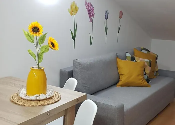 Secretos De Vut-te-24-0075 *